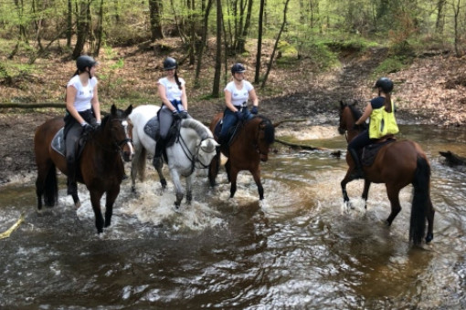 ausreiten