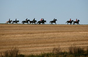 die fuchsjagd eine reitsport veranstaltung mit tradition