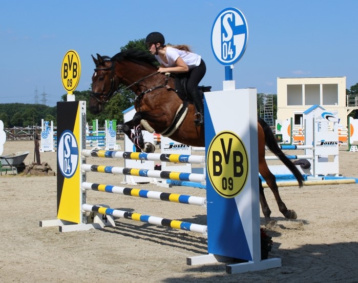 Reitboden fuer den Springsport