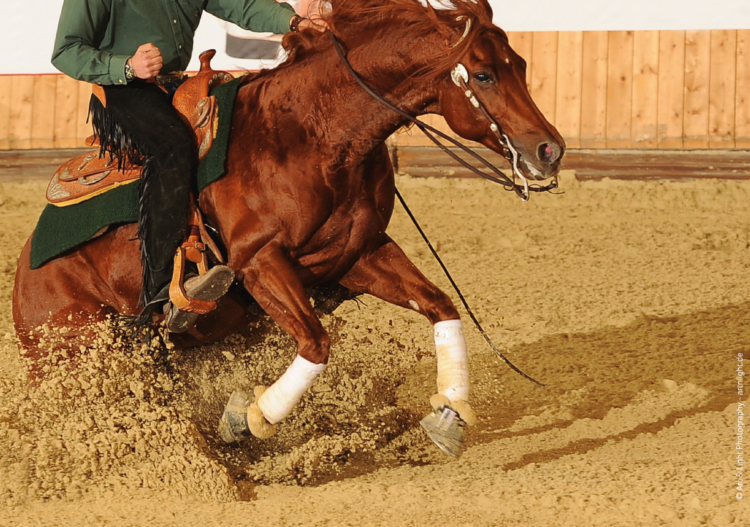 reitboden für den westernsport