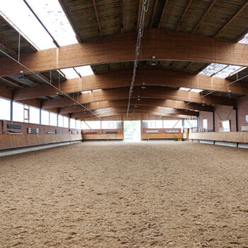 stresan-reitsand-referenz-ehning-03