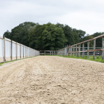 stresan-reitsand-referenz-ehning-09