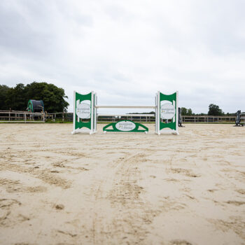 stresan-reitsand-referenz-ehning-13