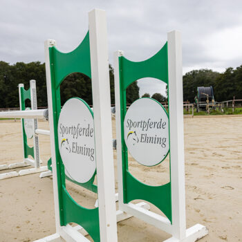 stresan-reitsand-referenz-ehning-15