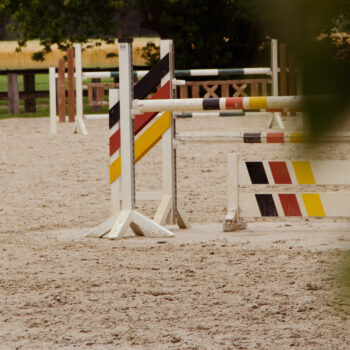 stresan-reitsand-referenz-reitstall-dieckmann-05