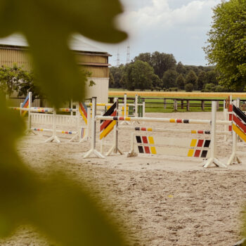 stresan-reitsand-referenz-reitstall-dieckmann-31