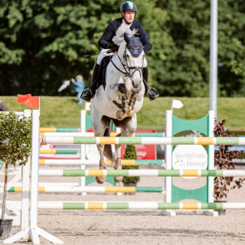stresan-reitsand-referenz-reitverein-borken-01