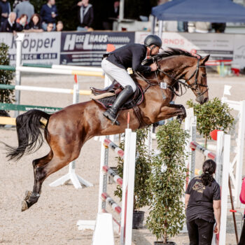 stresan-reitsand-referenz-reitverein-borken-02